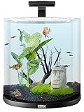 Tetra Explorer Line 60 L Aquarium Komplett-Set - Design Aquarium mit gebogener Frontscheibe, LED-Beleuchtung, Technik, Futter und Pflegemitteln, Farbe: Schwarz