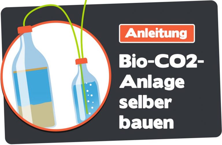 BioCO2Anlage so baust Du sie dir leicht günstig selbst BioCO2Anlage so baust Du sie dir leicht günstig selbst