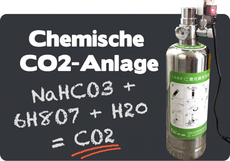 Bio Co2 Anlage Selber Bauen 400l Bio-CO2-Anlage: so baust Du sie dir leicht günstig selbst