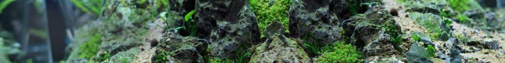 USCAPE CO2 Diffusor Topf XL - Aquarium CO2-Versorgung Bis 600 Liter