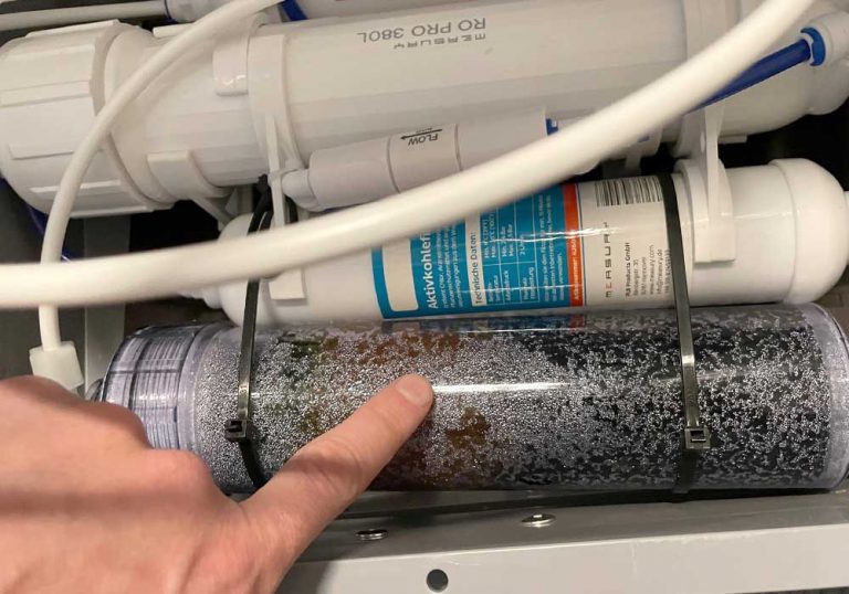 Kieselalgen im Aquarium erkennen + erfolgreich bekämpfen